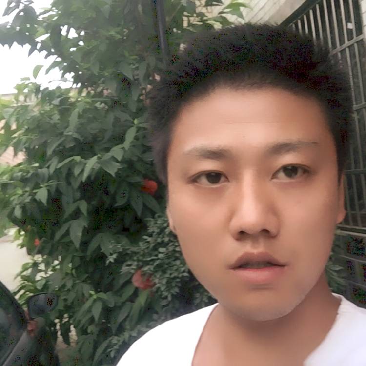 往事一幕幕上演的照片