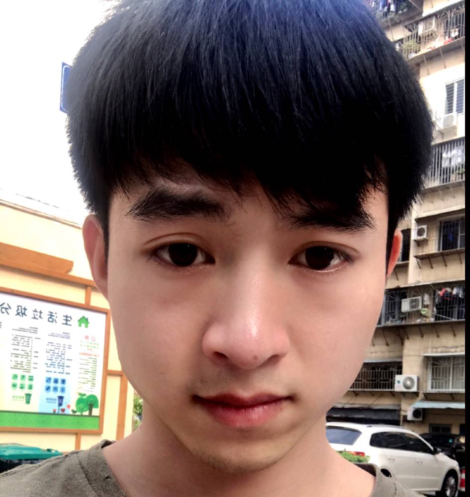 知性机器猫的照片