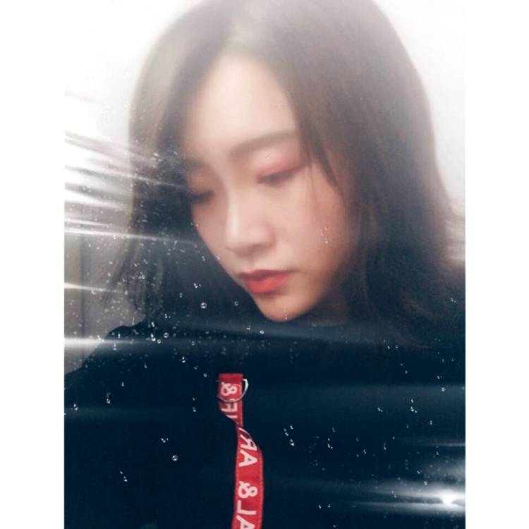 欣喜乌龟的照片