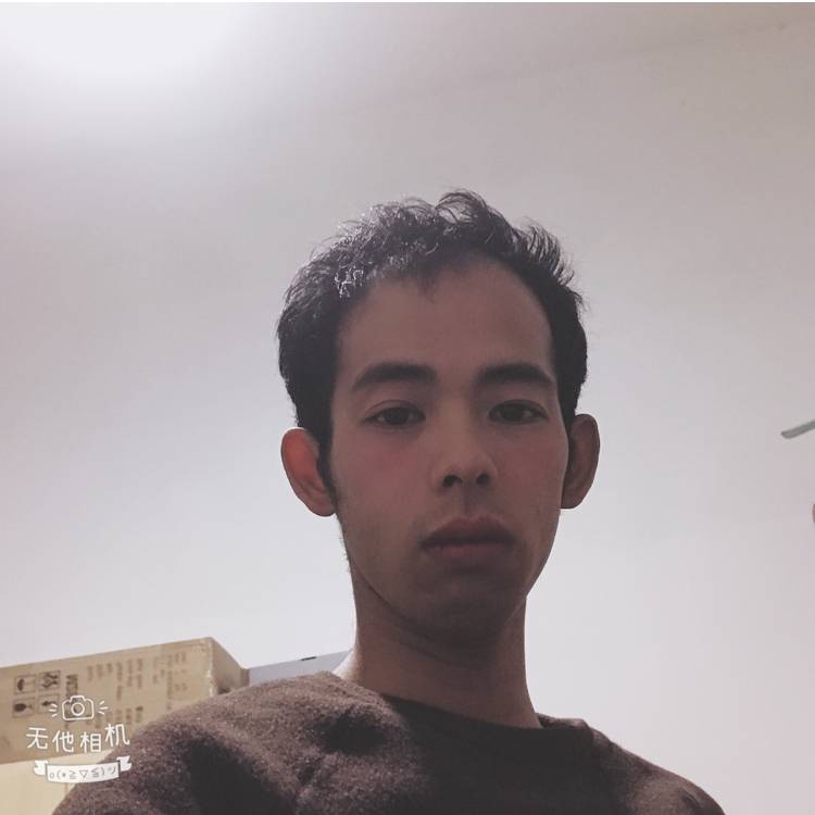 坚强老虎的照片