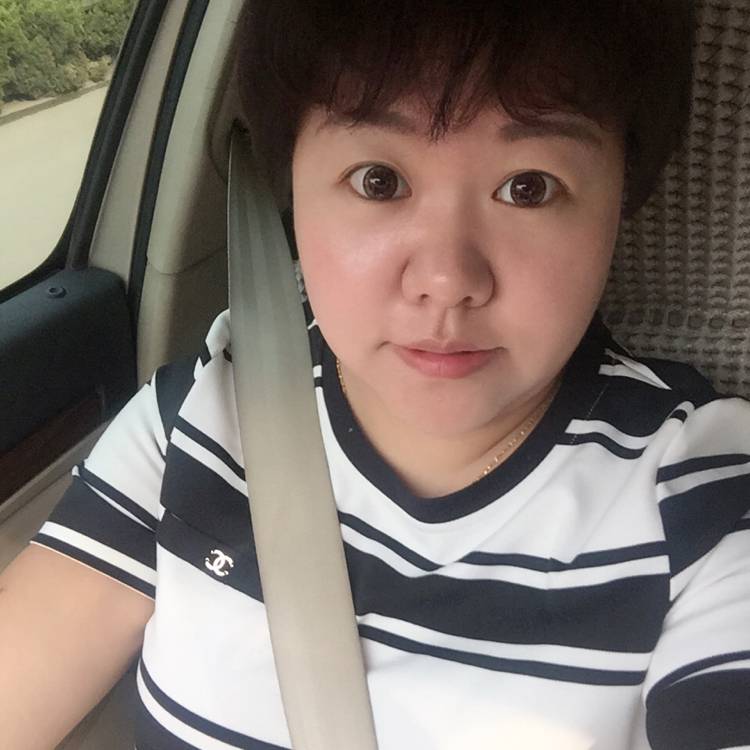 活力含羞草的照片
