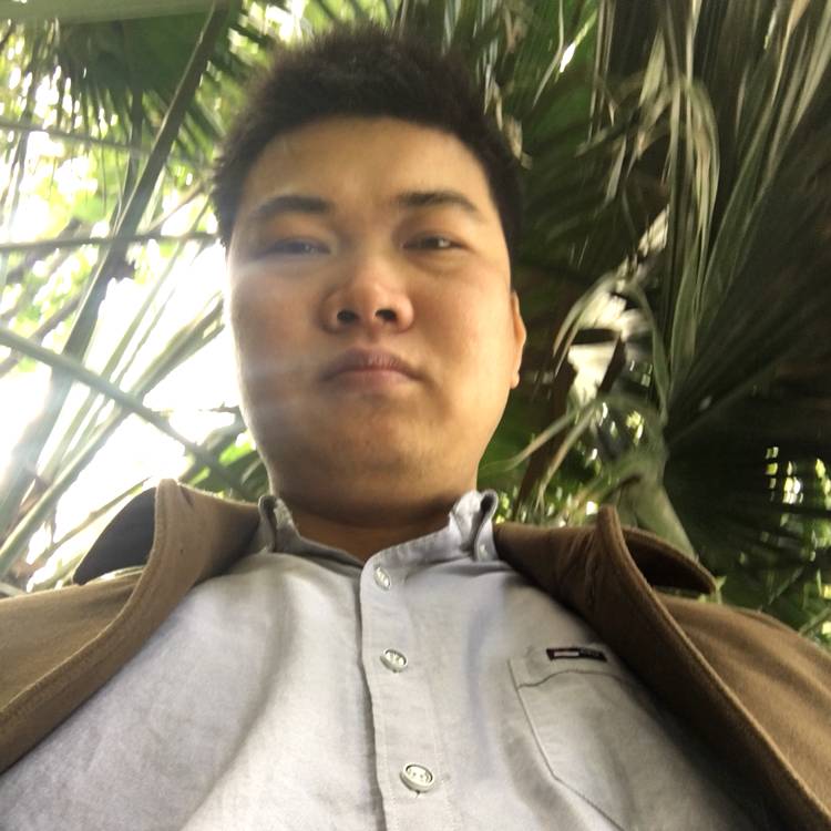 认真红尘的照片
