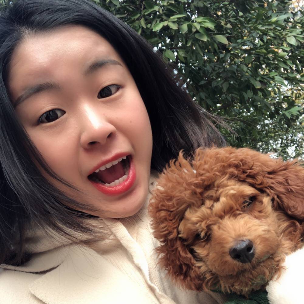 发光的小太阳的照片