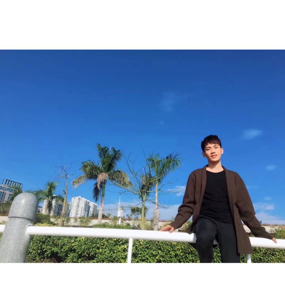 安静小松鼠的照片