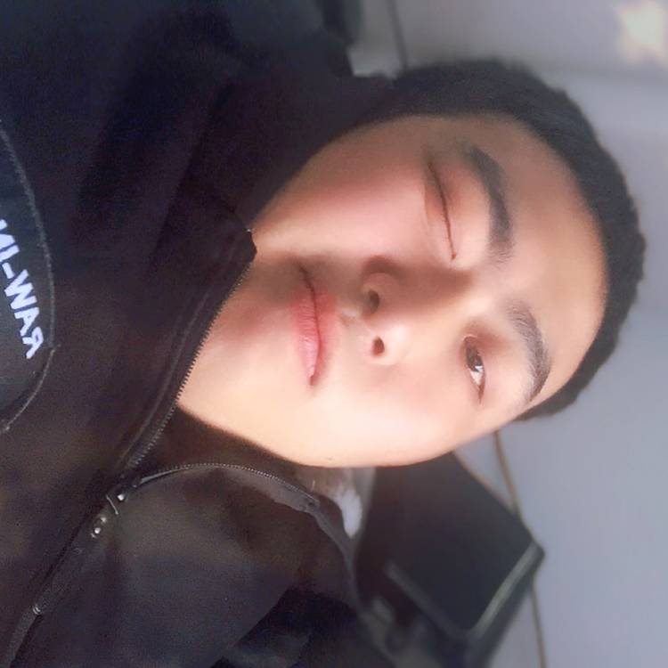 美丽还海燕的照片