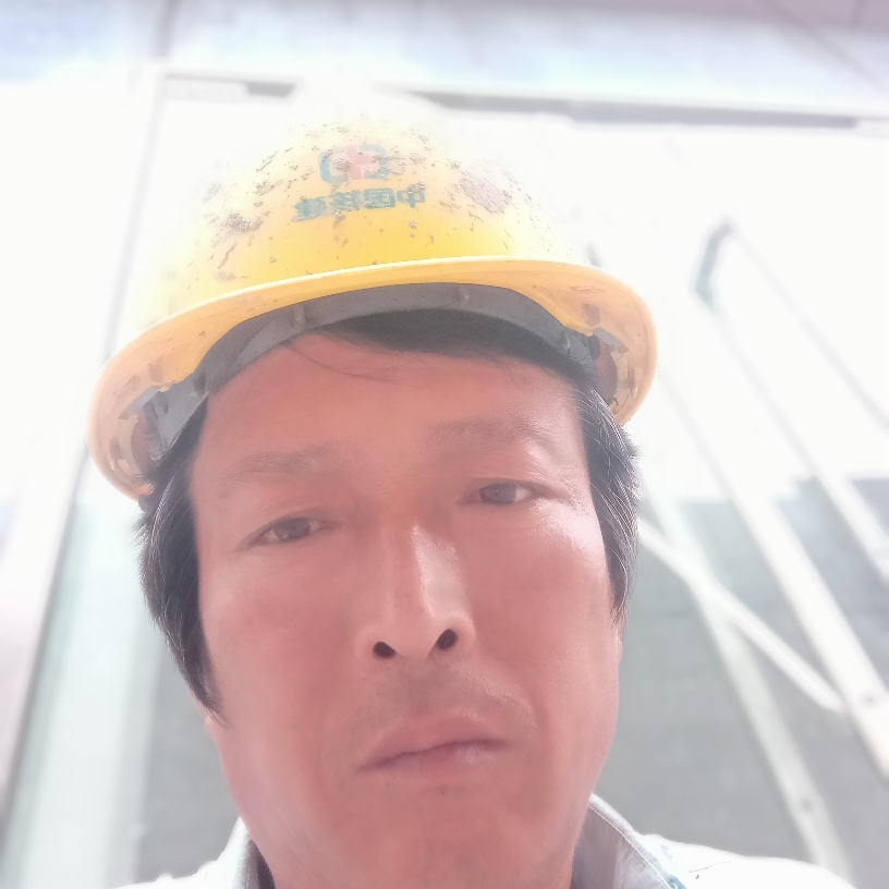小猫呢的照片