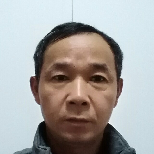 典雅狗的照片