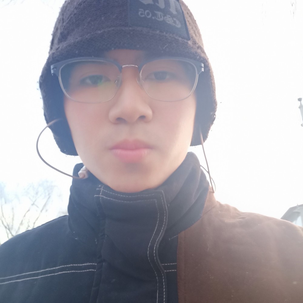 斑驳玫瑰的照片