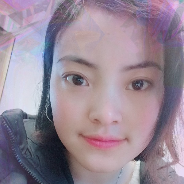 黑天鹅的照片