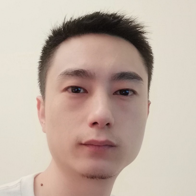 失去触须的蚂蚁的照片