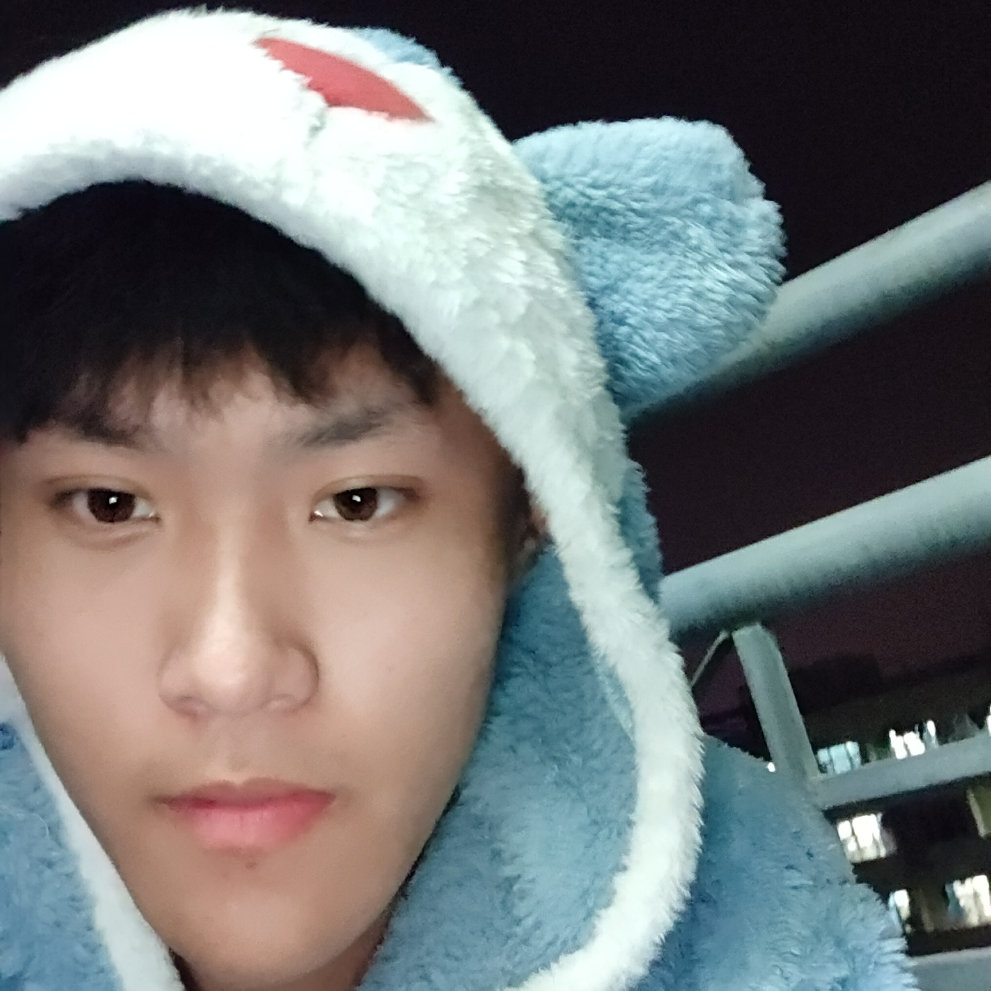 靓丽用小天鹅的照片