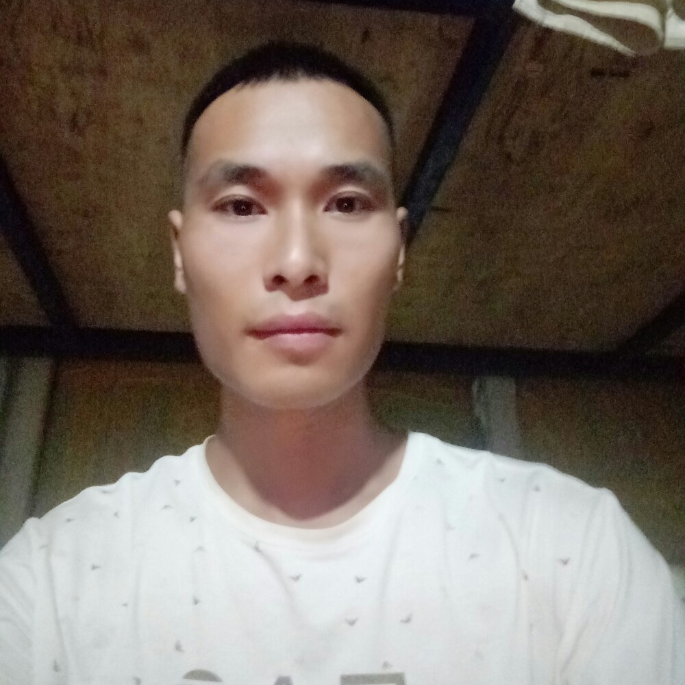 时光荏在的照片