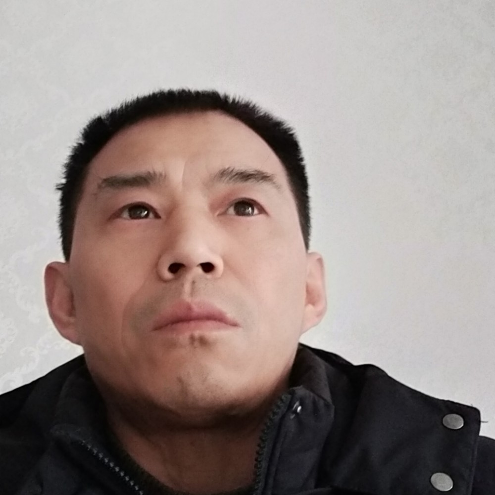 合适保卫大象的照片