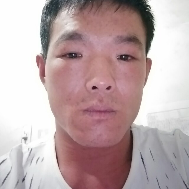 海燕多么酷酷的照片