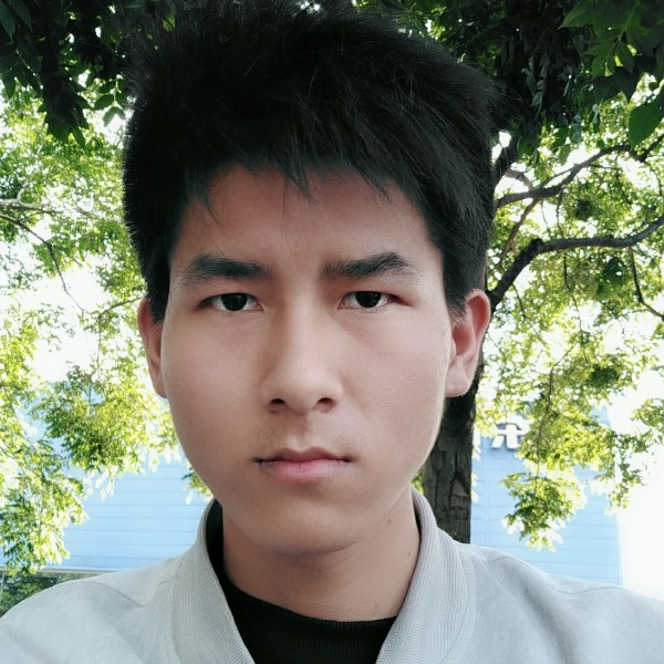 蝴蝶v的照片