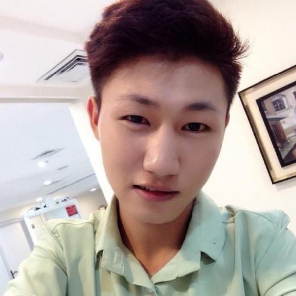 小海豚现实的照片