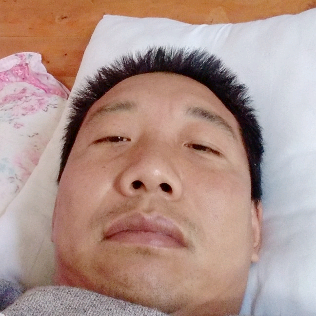 大树迎风中的照片