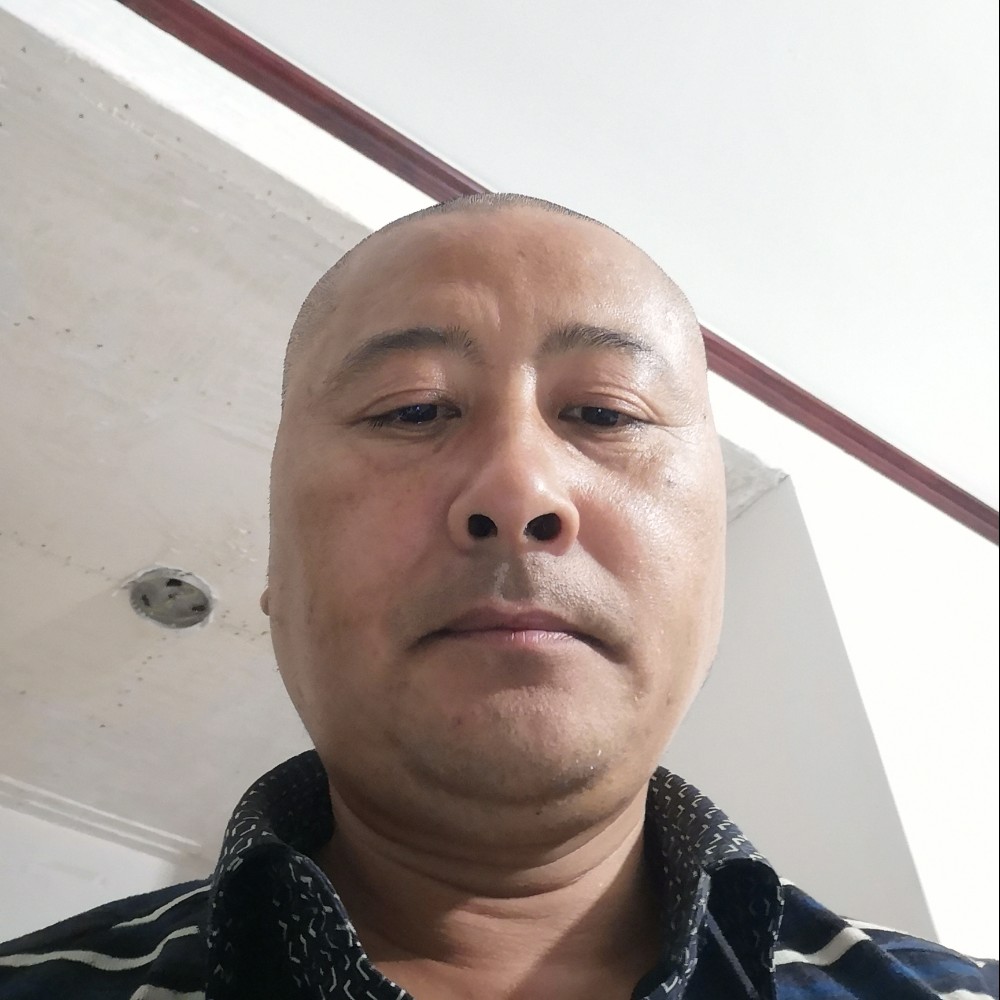 蜂鸟123的照片