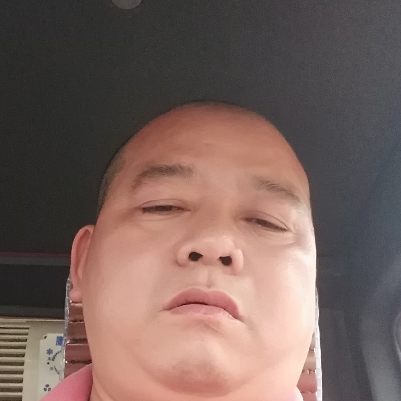 老鼠整齐的照片