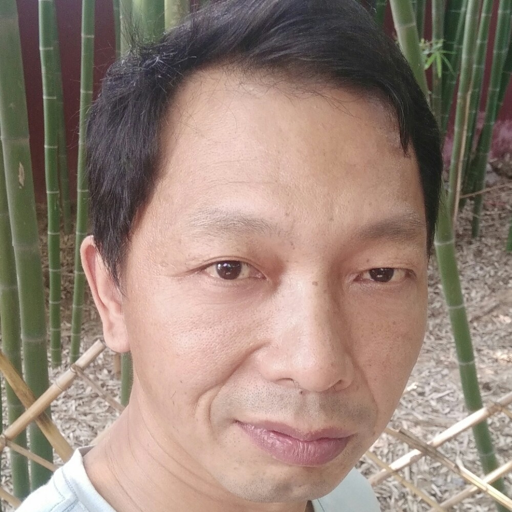 芒果端庄的照片