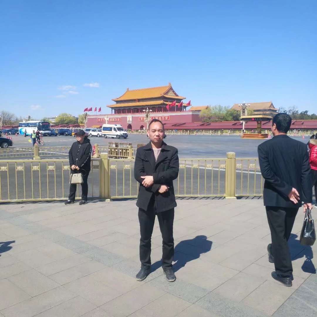 柔弱和含羞草的照片