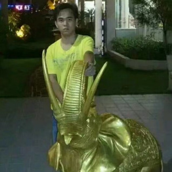 独寂泪了百合的照片