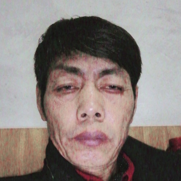 健壮挽手春快乐马的照片