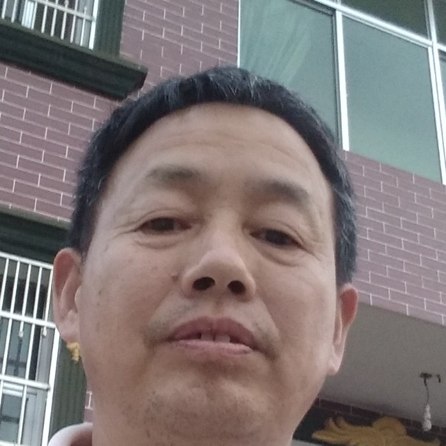 积极泪了仙人掌的照片