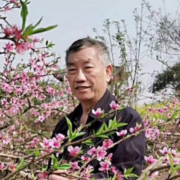 会员094783177的照片