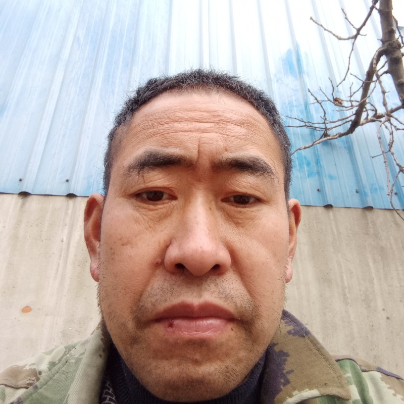 腼腆保卫草丛的照片