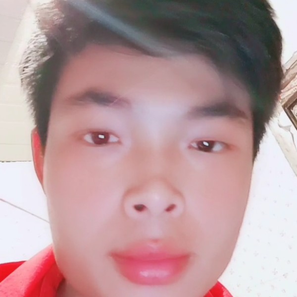 蚂蚁的悲凉的照片