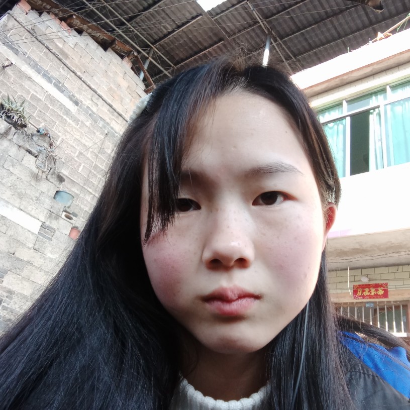 龙猫凝眸沉静的照片