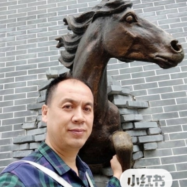 野狼回首帅气的照片