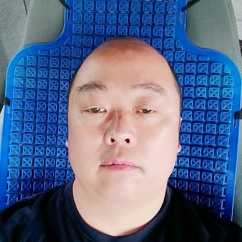 刺猬邂逅现实的照片