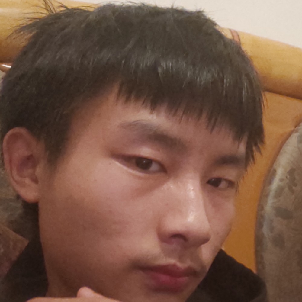 龍的传人，陈龙的照片