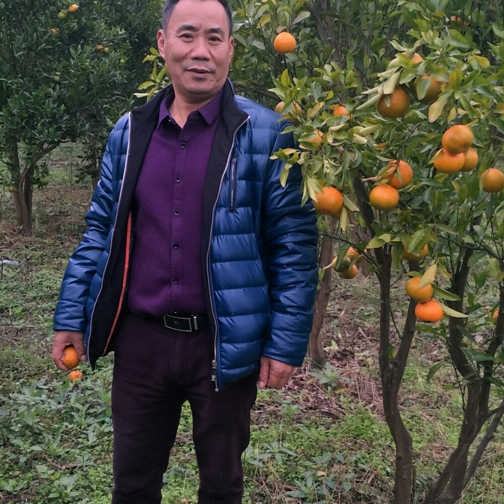 外套浅吻长情的照片