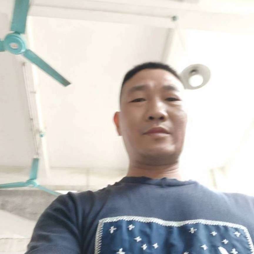 宾鸿的照片