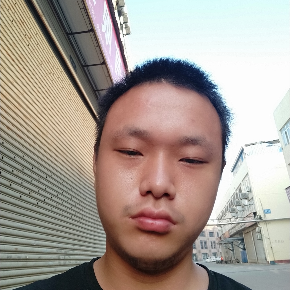 吐司蹁跹精明的照片