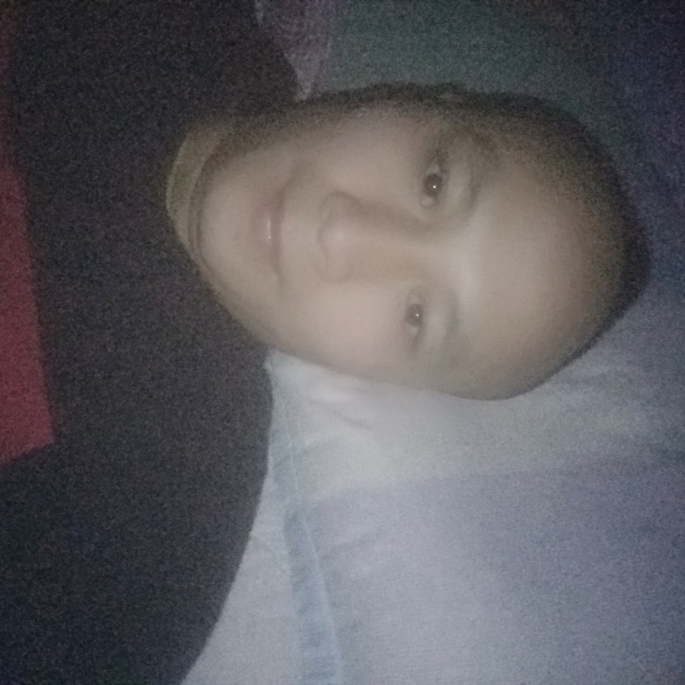流年的拾忆战斗机的照片