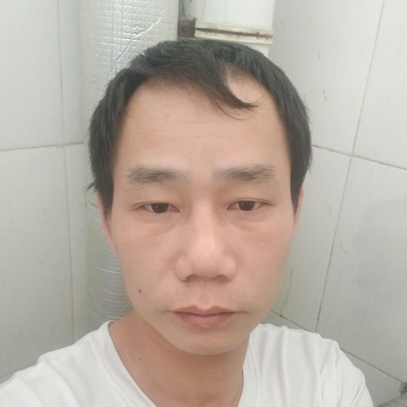 翅膀演变淡然的照片
