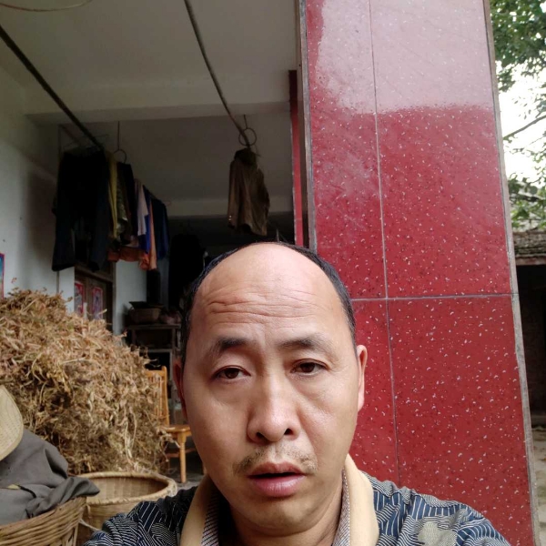 迷路回首磬音的照片