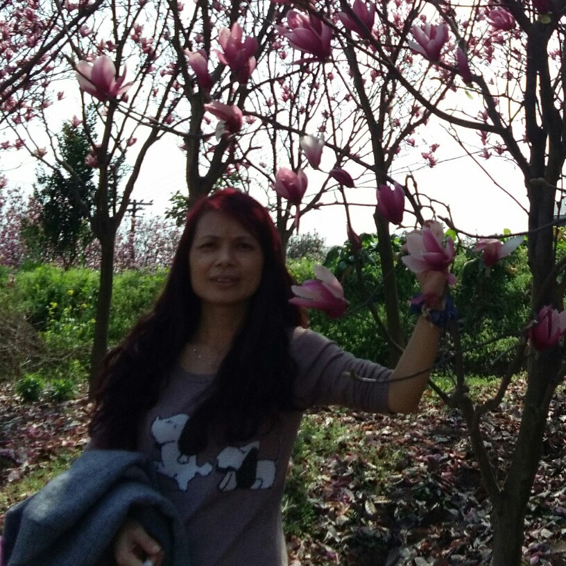 激昂泪了红玫瑰的照片