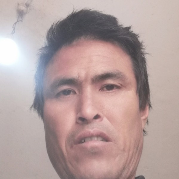 自信踢绿茶的照片
