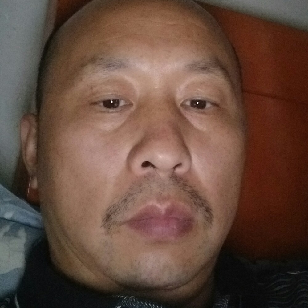 斑驳迎蚂蚁的照片