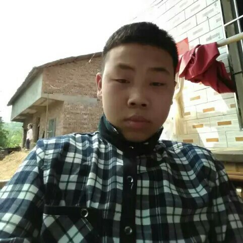 A00单独梦想的照片
