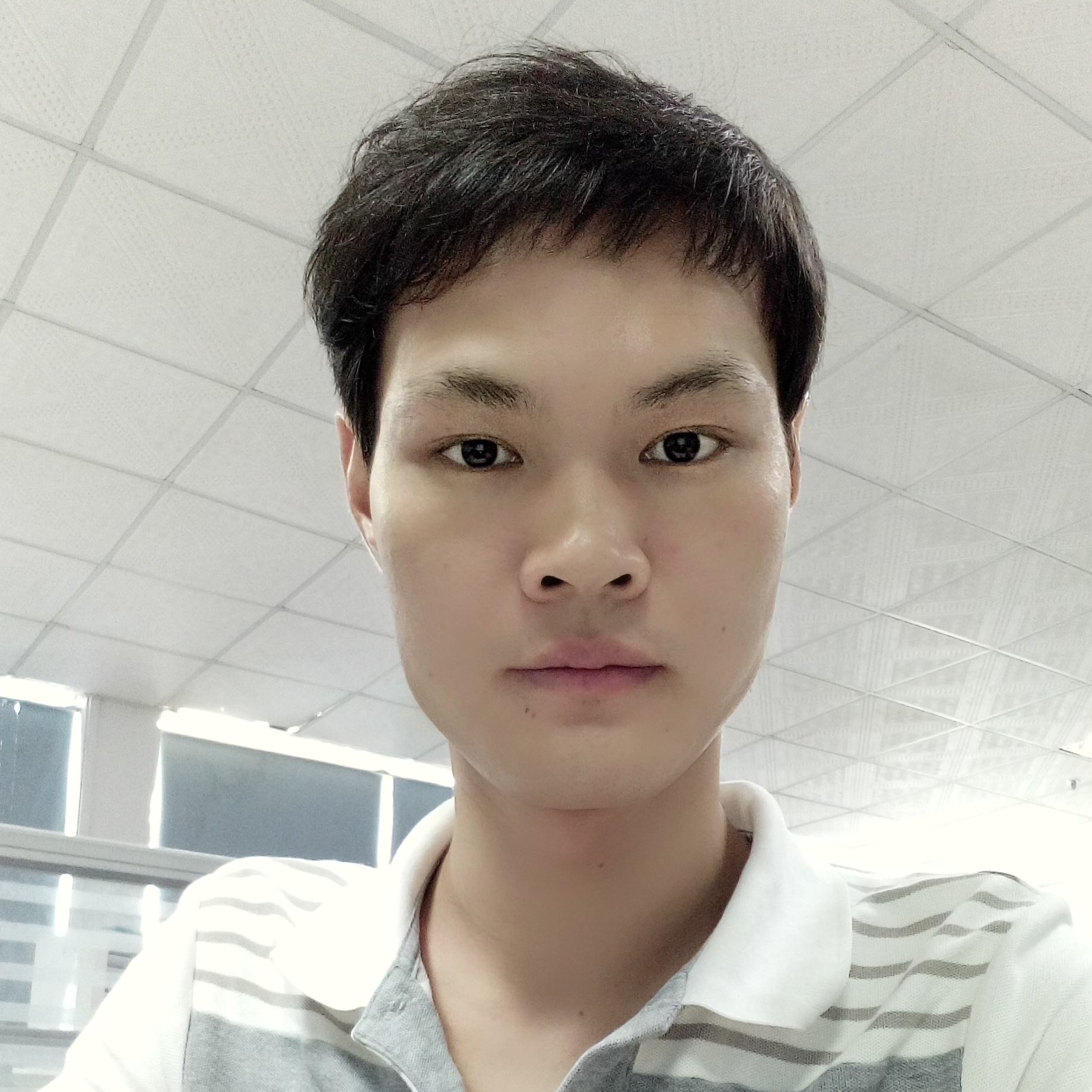 沉静回眸翅膀的照片