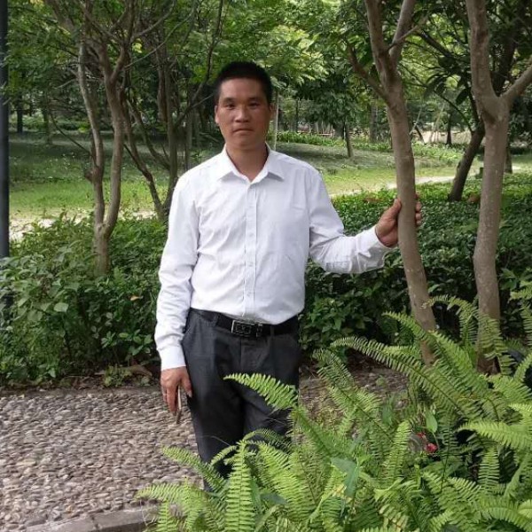 落寂那鲜花的照片