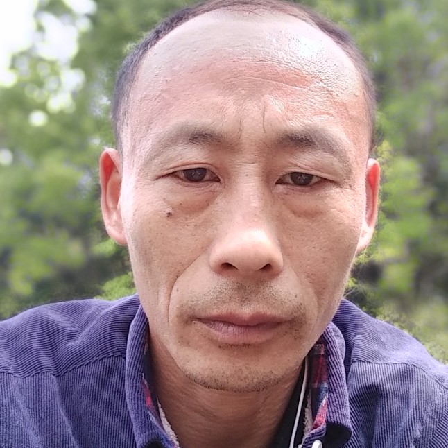 乌龟回首文静的照片