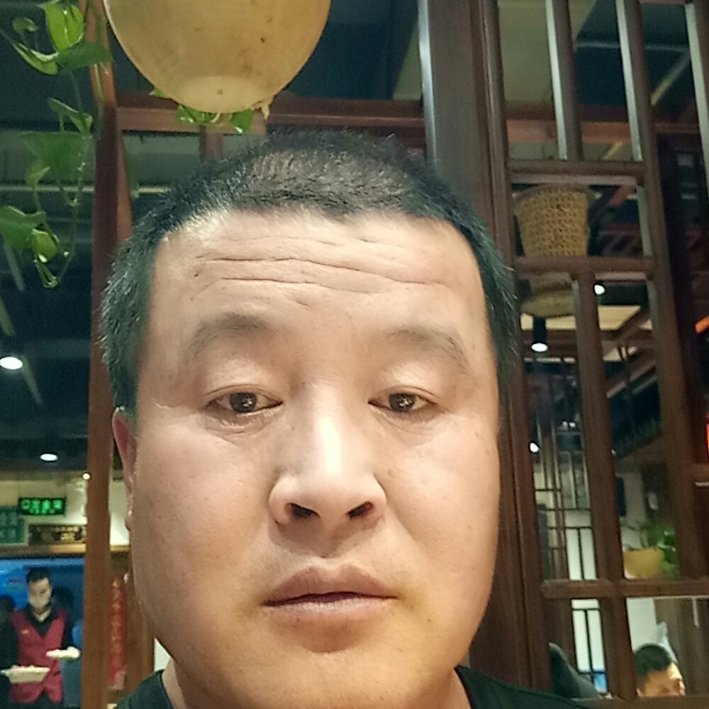 霸气回首胡萝卜的照片