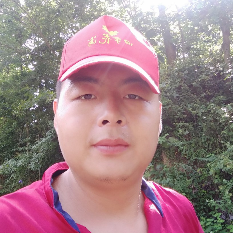 淡定愿过客的照片